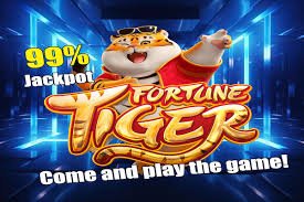 585 bet app